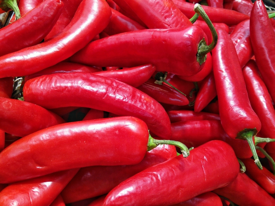 Anlage essen produzieren gemüse