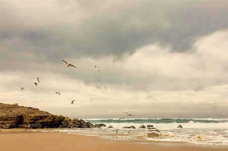 Beach sea coast sand Photo