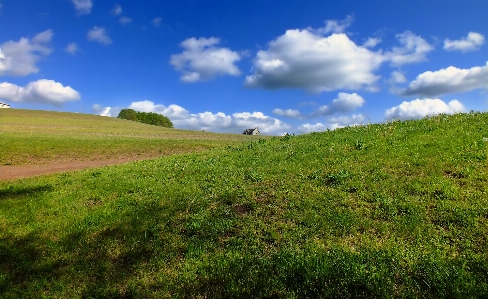 Landscape tree nature grass Photo