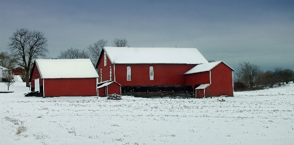 Snow winter sky field Photo