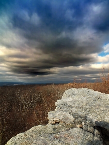 Landscape sea coast nature Photo