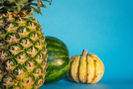 植物 フルーツ 食べ物 生産 写真