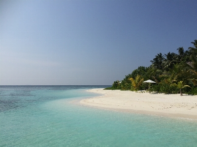 Beach sea coast sand Photo