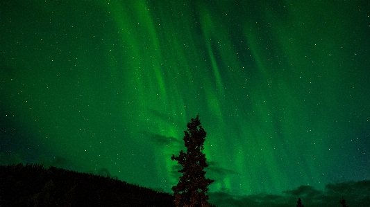 Night star atmosphere sky Photo