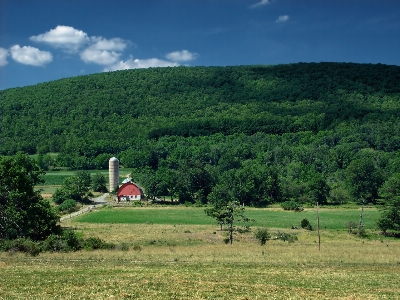 Landscape tree grass mountain Photo