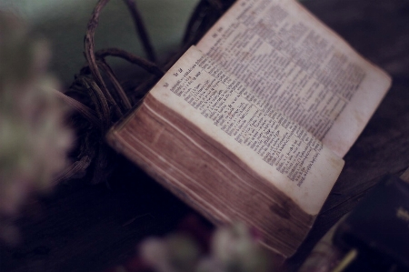 Hand book wood leaf Photo