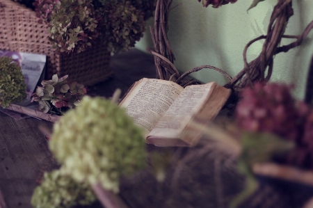 Tree branch book plant Photo