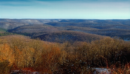 Zdjęcie Krajobraz drzewo natura las