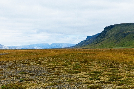 Landscape coast grass horizon Photo