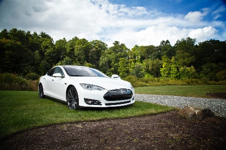 Tree cloud car vehicle Photo