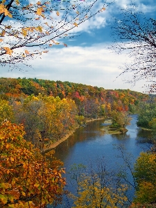 Landscape tree water nature Photo