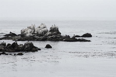 Beach sea coast sand Photo