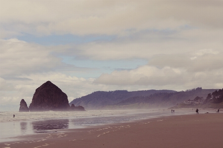 Beach landscape sea coast Photo