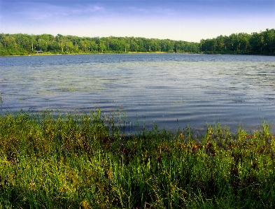 Landscape tree water nature Photo