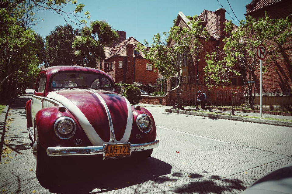 Baum straße auto vw
