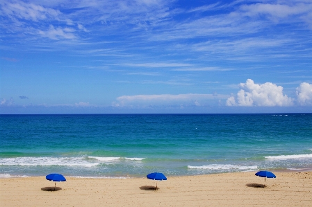 Beach sea coast sand Photo