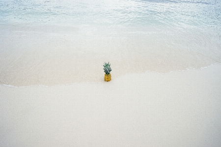 Foto Pantai laut air pasir