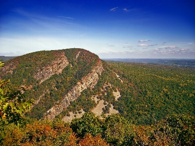 風景 木 自然 rock 写真