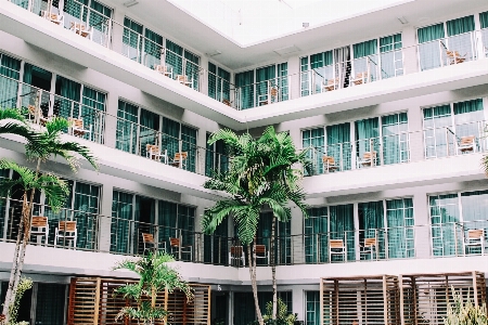 Architecture house palm tree chair Photo