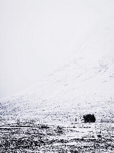 海 地平線 山 雪 写真