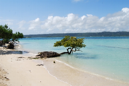 Foto Praia mar costa água