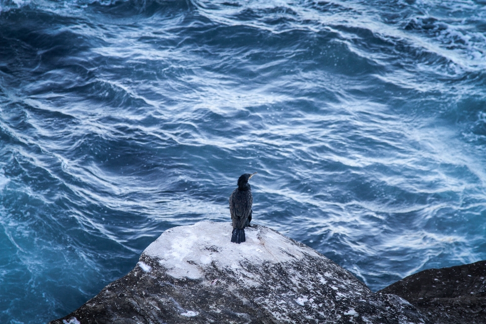 Meer wasser rock ozean