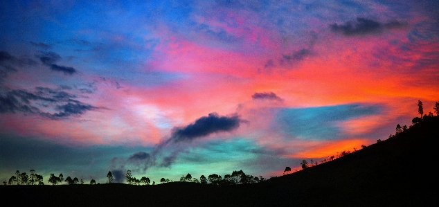 木 地平線 クラウド 空 写真