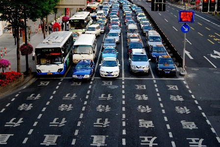 Pedestrian road traffic street Photo