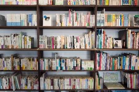 Book shelf furniture bookshelf Photo