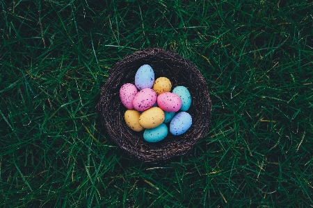 Grass food green basket Photo