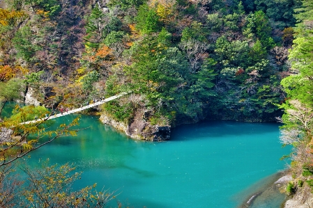 木 水 rock 山 写真