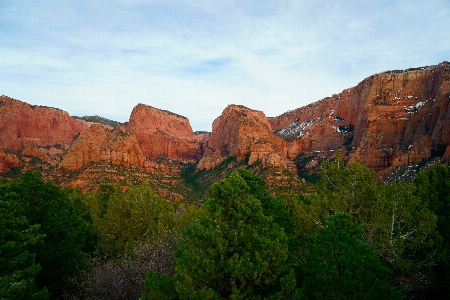 Landscape tree forest rock Photo