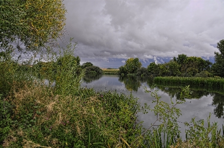 Landscape tree water nature Photo