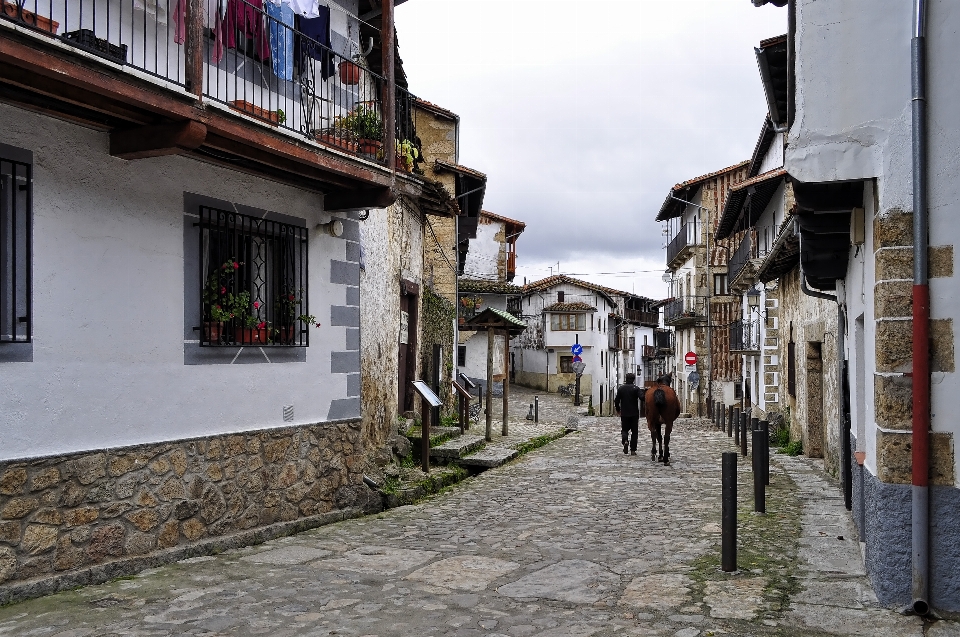 Peatonal camino calle ciudad