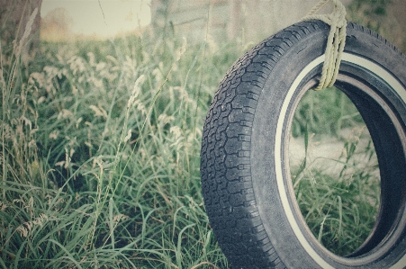 Grass rope lawn wheel Photo