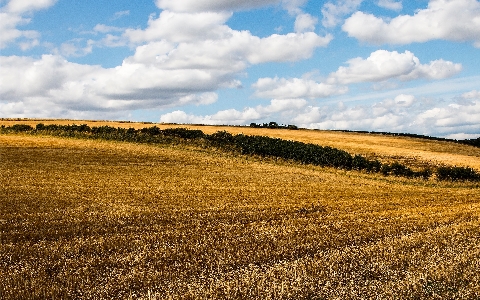 Landscape grass horizon cloud Photo