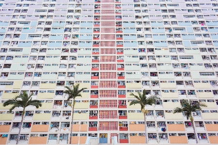 Architecture palm tree window building Photo