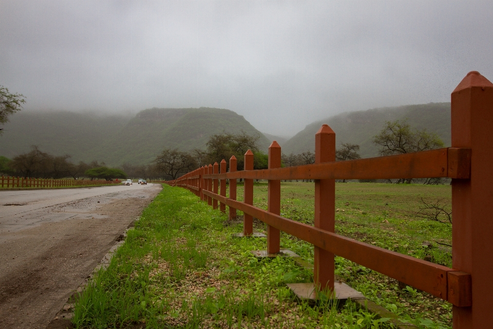 Lanskap alam pagar kabut