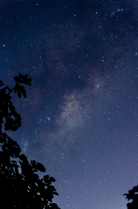 Cielo notte stella via lattea
