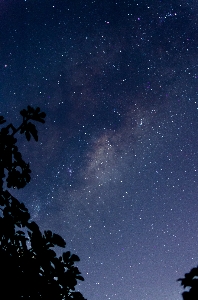 Foto Cielo notte stella via lattea
