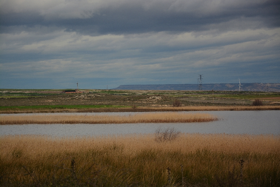 Paisagem mar árvore água