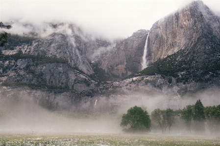 風景 木 自然 森 写真