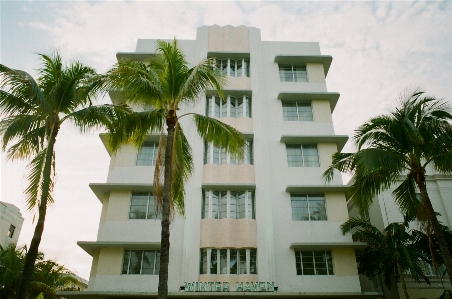 Foto árbol arquitectura casa hogar