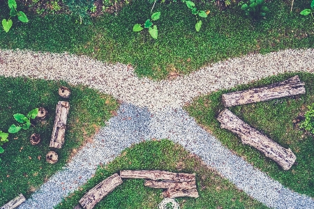 Path grass lawn sidewalk Photo