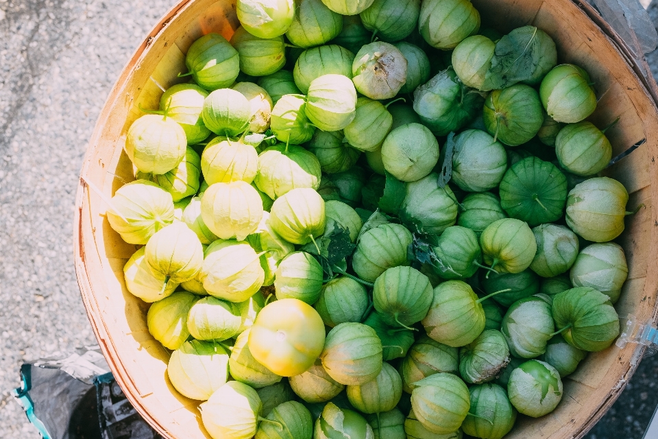 Gericht essen produzieren gemüse