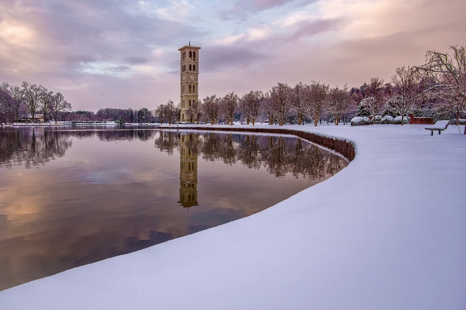 árvore água neve inverno