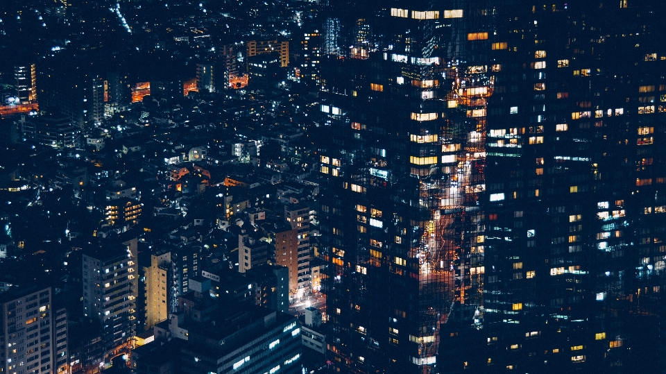 地平線 ライト スカイライン 夜