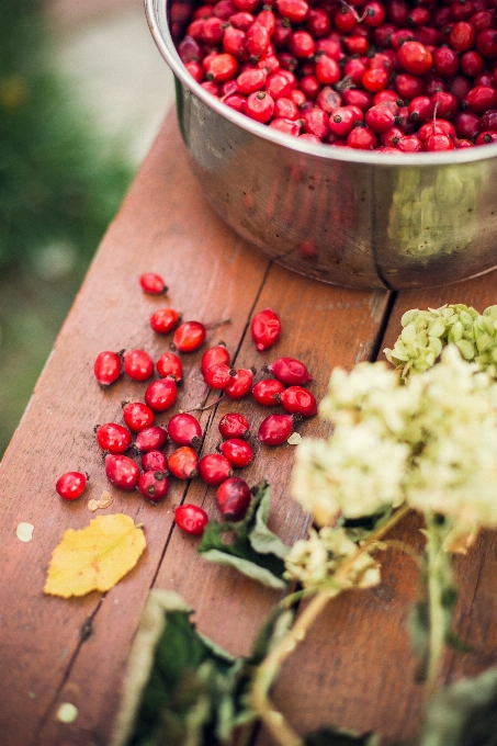 Plant fruit berry leaf