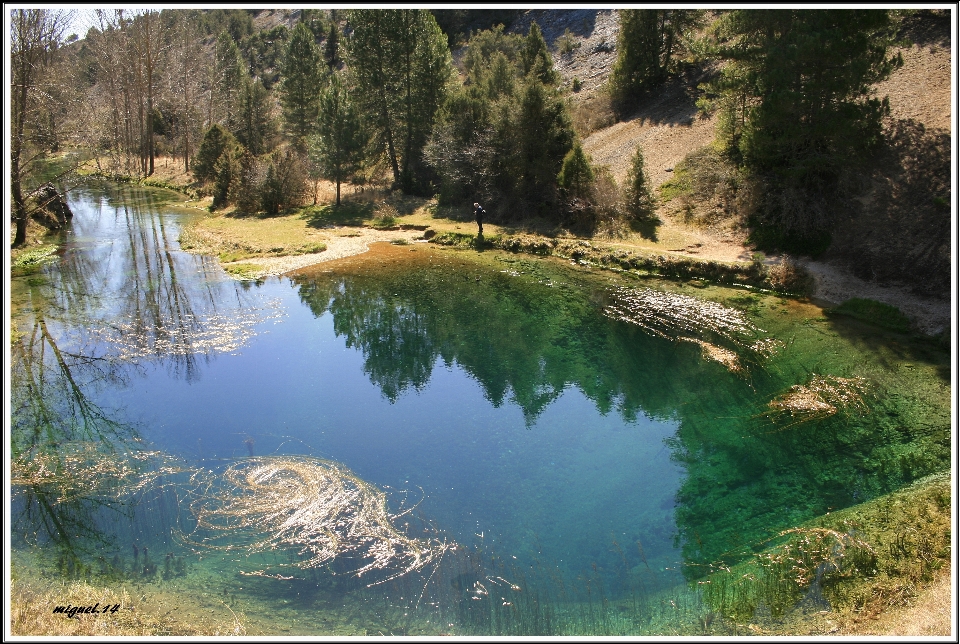 Lago río estanque stream