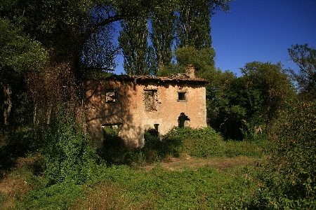 Tree house building chateau Photo